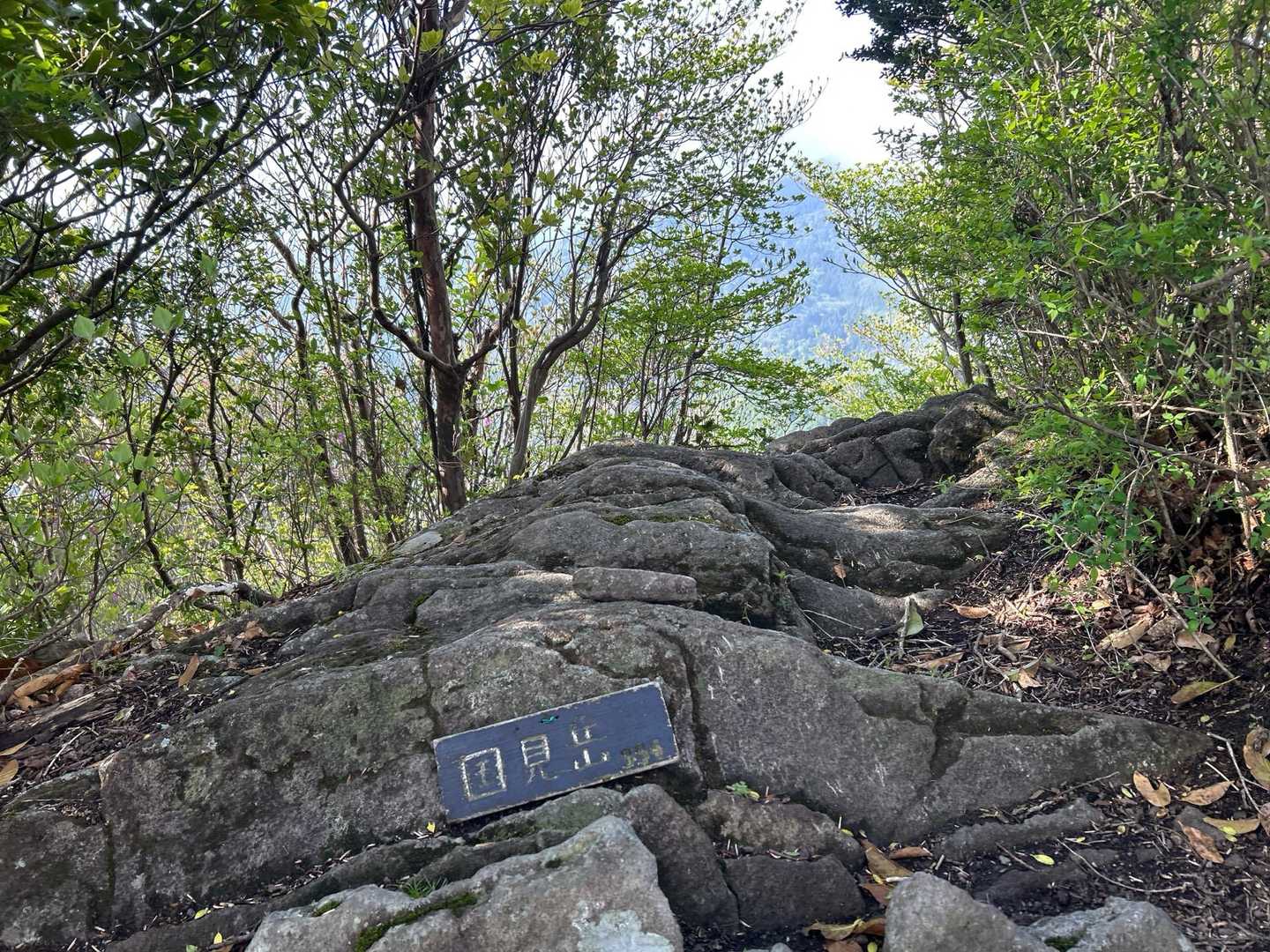 山頂は多良岳より先に分岐点で国見岳へ