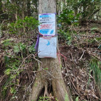 そうやったんか