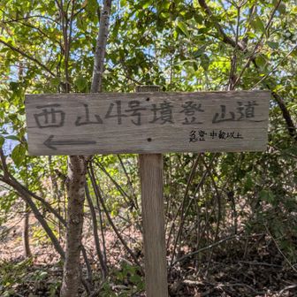 真福寺コースの正式名称ね🤔

中級以上…💧

いえ
ただ楽しく歩いているだけの永年初級
単なる(かつての)お転婆です🤭