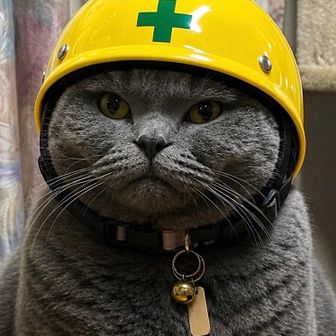まさのり