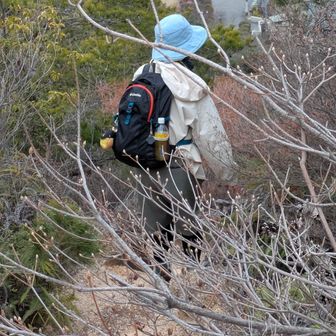 もうすぐやなあ～😄