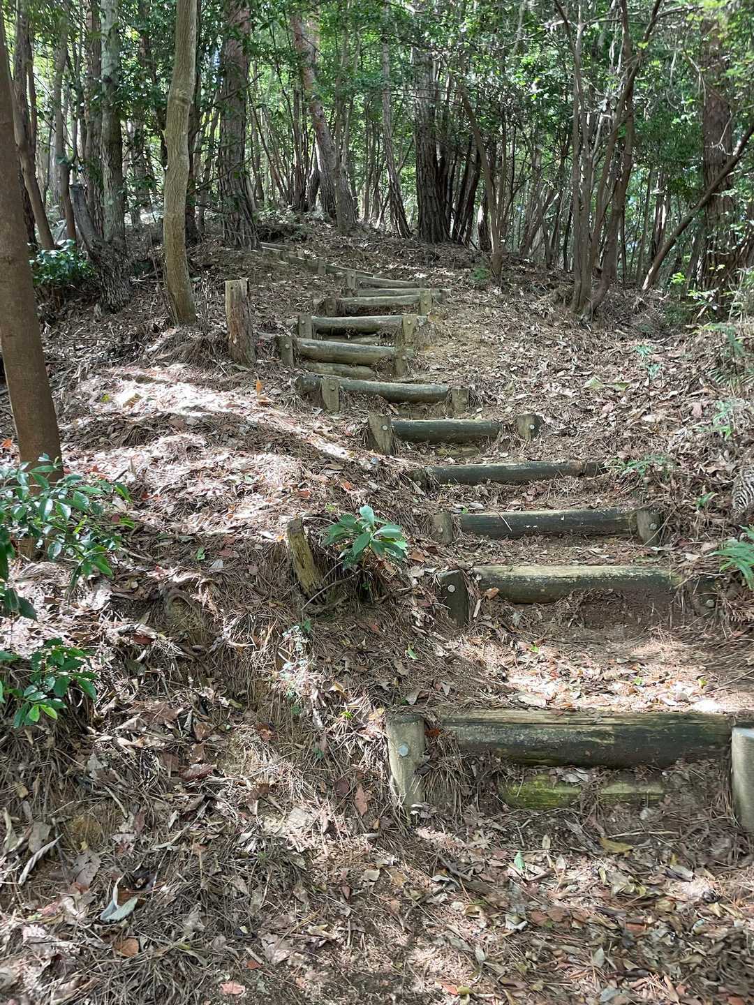 藤ヶ丸山へは階段多め
