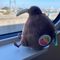 むーみん