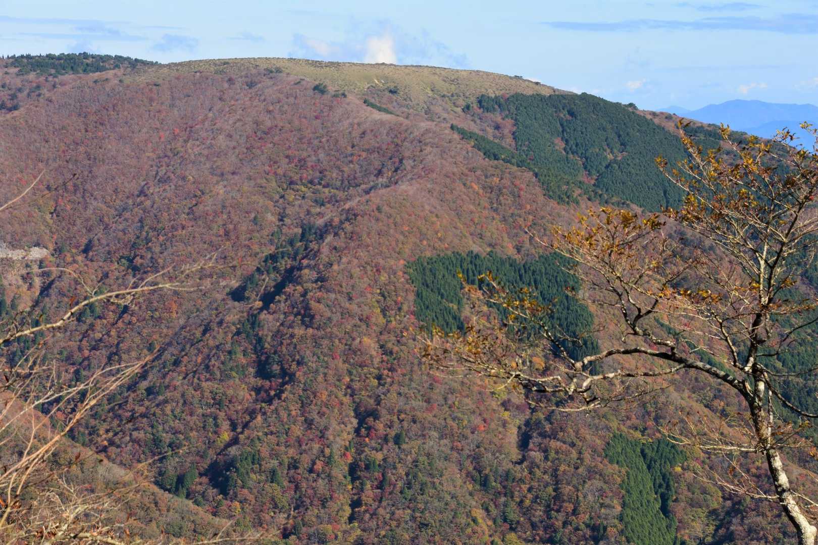 平石山から段ヶ峰南尾根を望