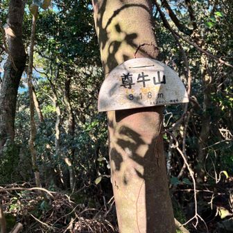 で、ここに山頂標識がありました