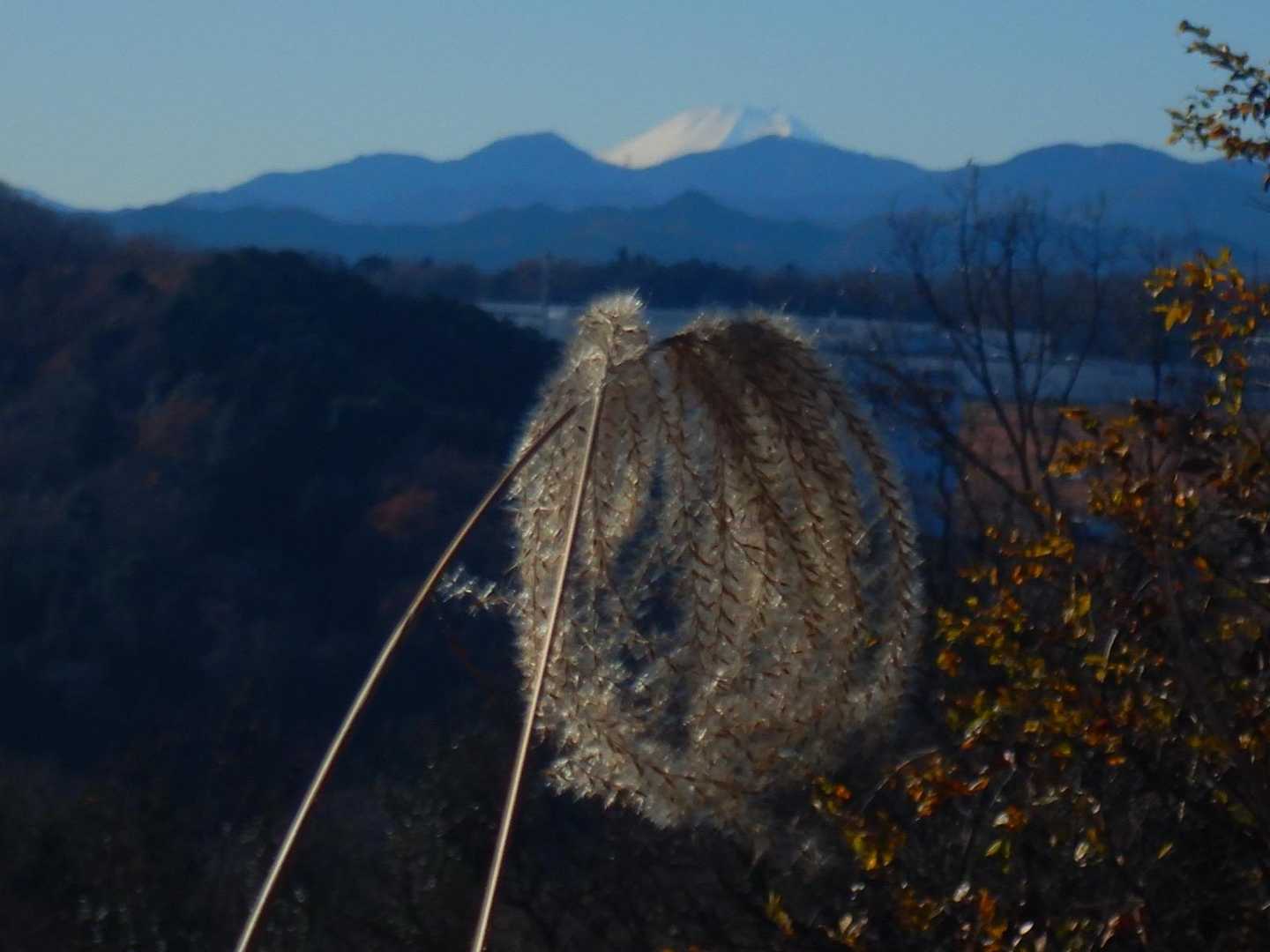 天覧山-多峯主山 周回コースの写真