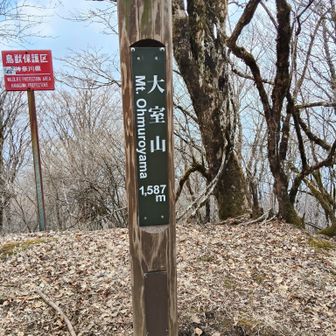 ついたー、やっとー。づがれだー。