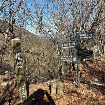 犬越路。
武田信玄が小田原城攻めの際に越えた時、犬が先に歩いた言われる峠（諸説あり）。

ほぼ下に、神ノ川林道と犬越路隧道が通っているが崩落多めで林道としては使われてないよう。
歩いてトンネルを通ってみたかったりする、、、。