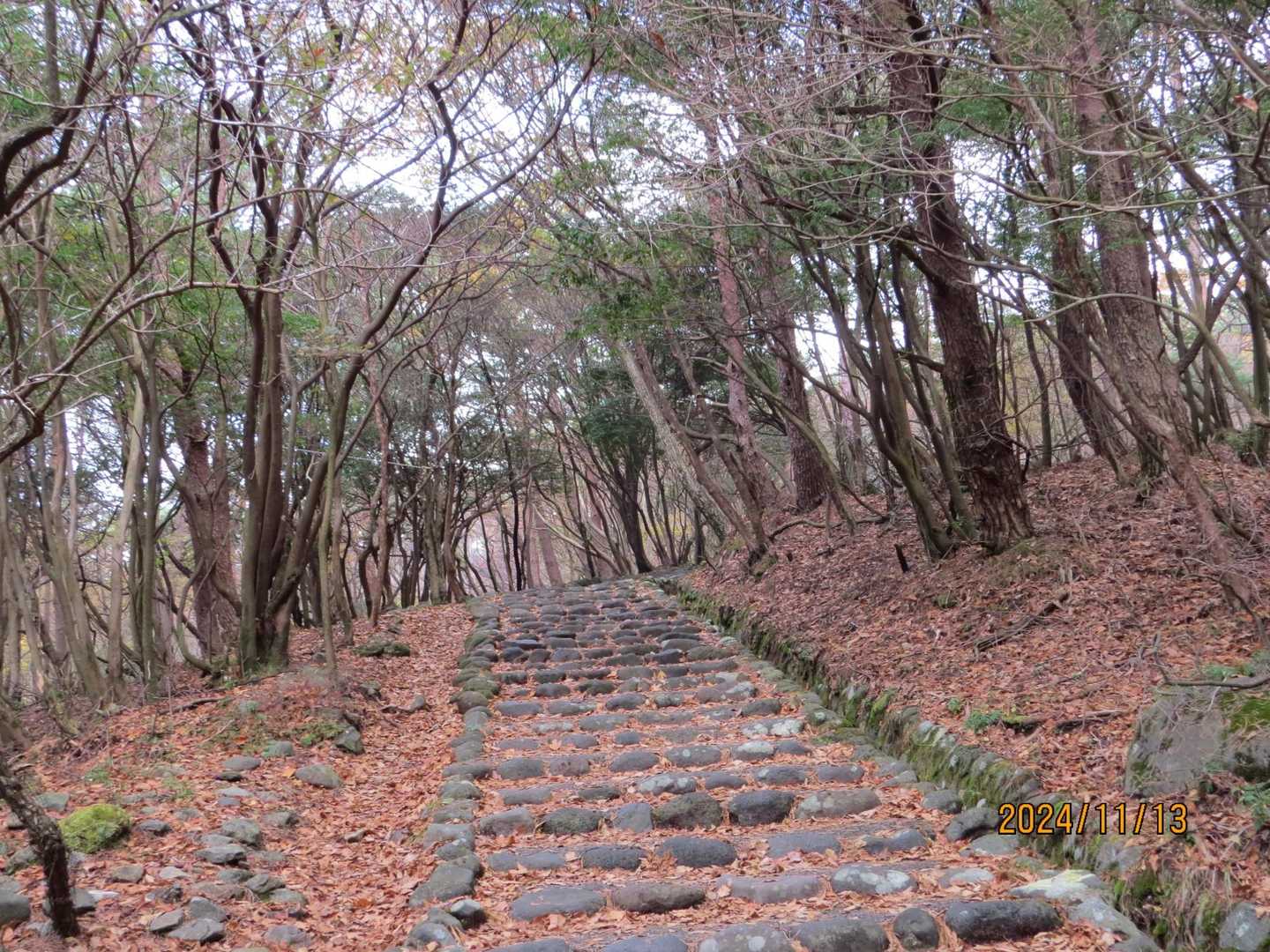 整備された遊歩道を登る🚶