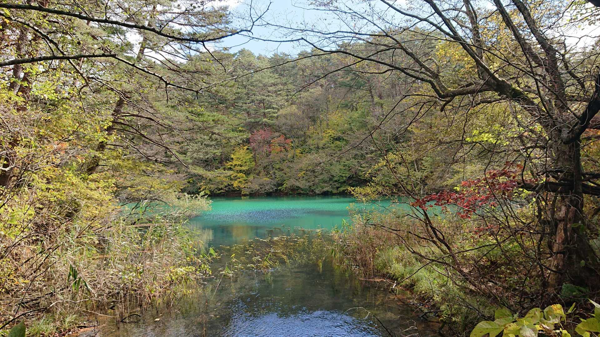 ここから見える毘沙門沼の色がキレイ✨