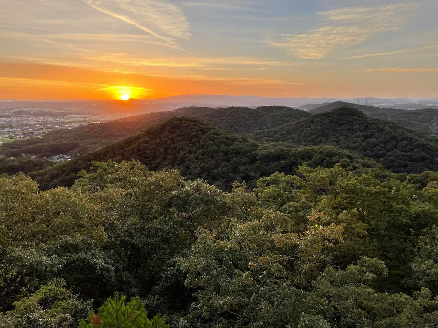 紅山 往復コースの写真