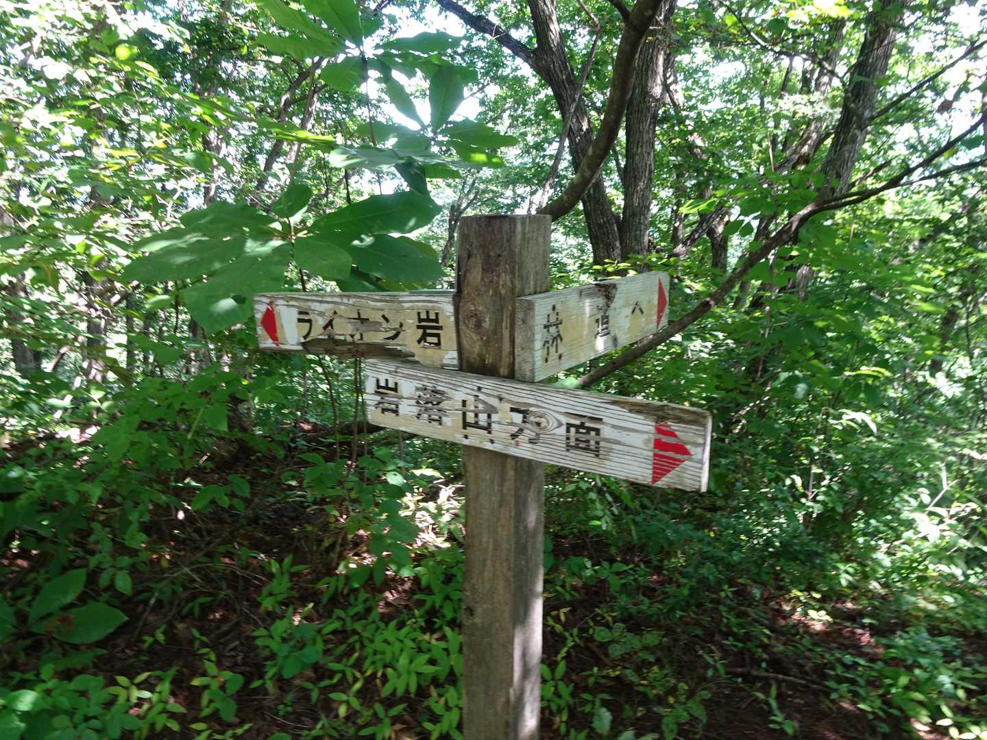 分岐