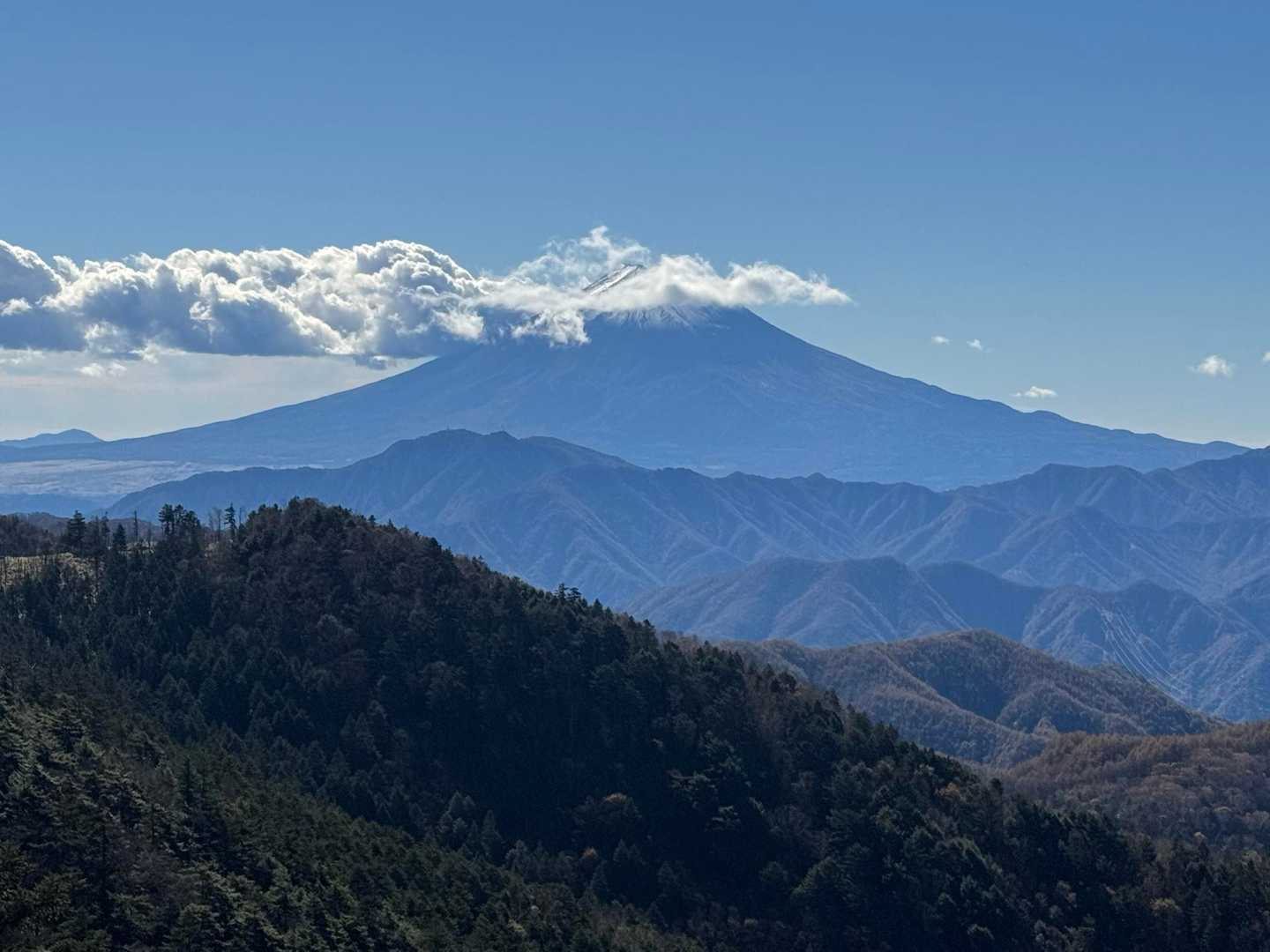 小屋平バス停-牛奥ノ雁ヶ腹摺山-すずらん昆虫館前バス停 縦走コース
の写真