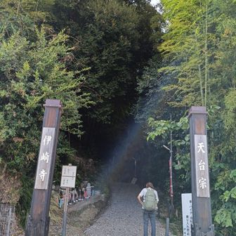 今日のゴールは休暇村近江八幡ですが、その直前に伊埼寺。砂利道の参道は結構な坂道だったけど、とてもきれいに整地されていた。