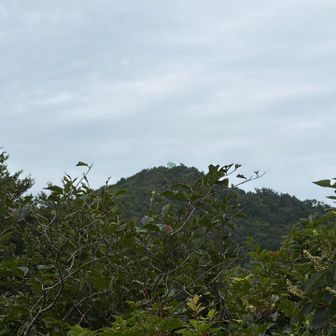 しばらく歩いて白鳥小屋！👀✨