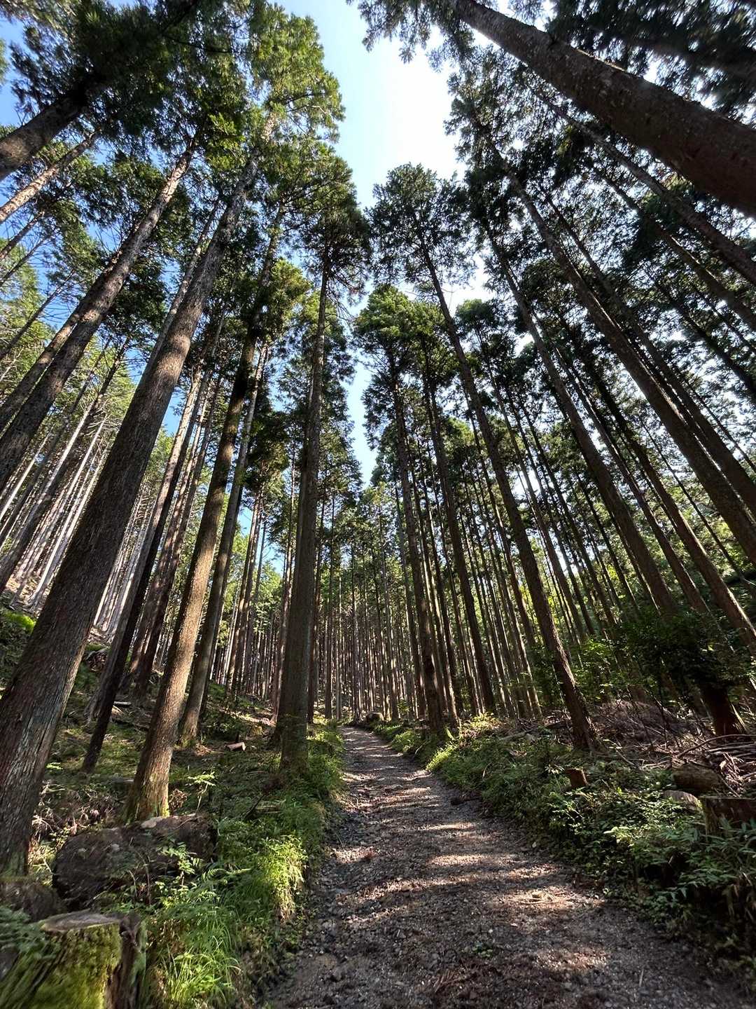 笹平口 往復コースの写真