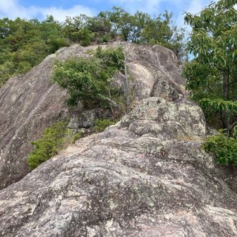 笠松山の頂上に向かう途中にも鎖場が。
