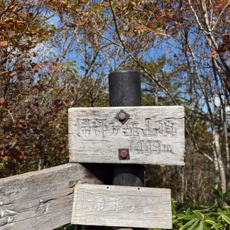 榛名山(掃部ヶ岳)登頂です。
狭い山頂ですが賑わっていました。
ちなみにこの山頂以外人ほぼ見ませんでした。