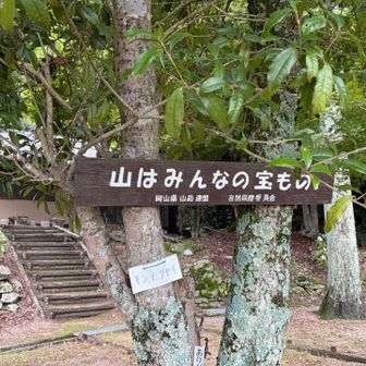 展望台
たくさんの登山者の方がおられました