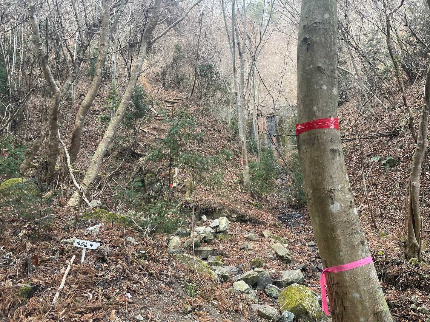 剣ヶ峰-水石山 往復コースの写真