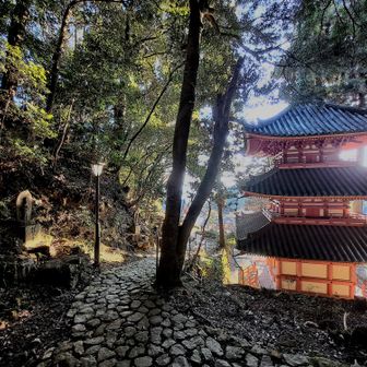 下りてきてもっかい📷