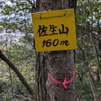 佐生山(さそやま)山頂
本日４座目
このあと、もう少し登りもあり、頑張りました。
カッパを着ることもなく、楽しい１日を過ごせてよかったです💝
