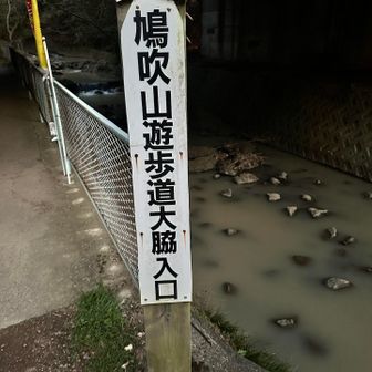 今朝はここから