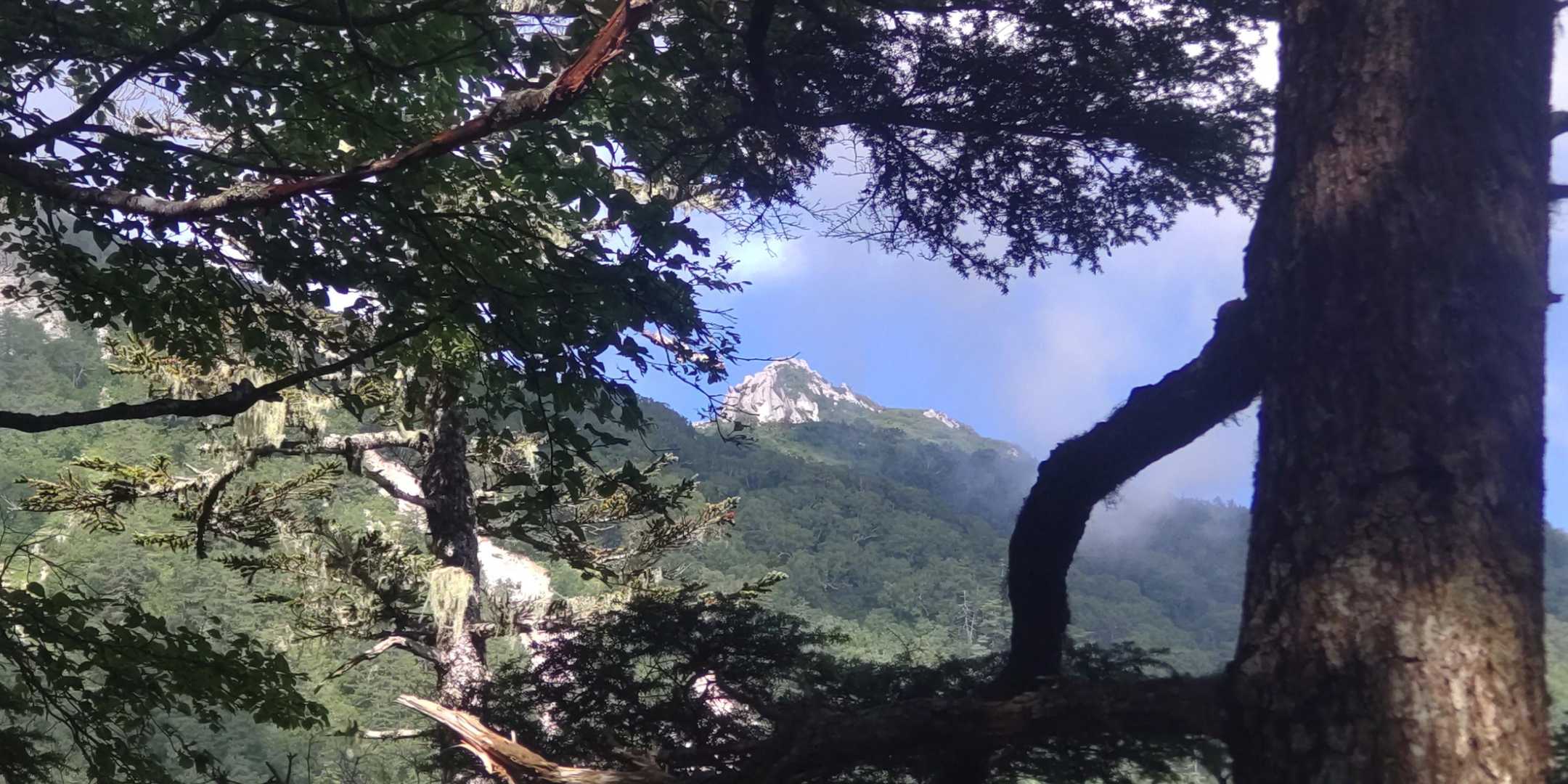 鳥帽子岳？