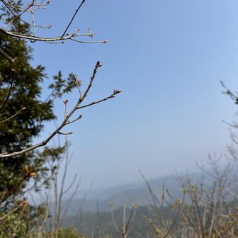 山頂からの眺望