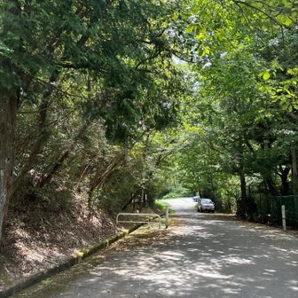 30分ほど歩いて駐車場が見えてきました
