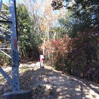 1つ目の鉄塔スルー