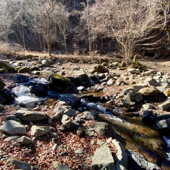 沢まで下山して休憩