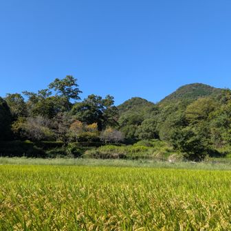 二上山