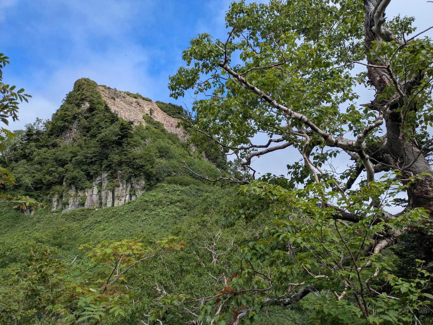 不動岳-前武尊-家の串山-武尊山 往復コースの写真