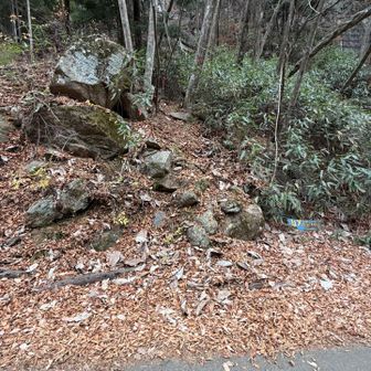 下山しました。