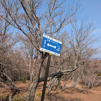 仙香山に到着しました。
近くにある仙香池が名の由来だそうです。