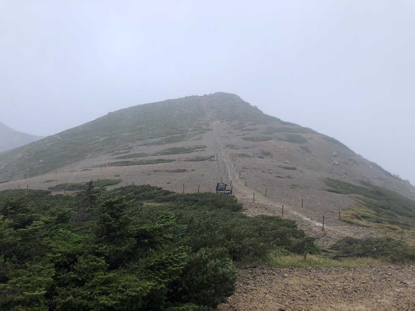 大分怪しくなってきた。
