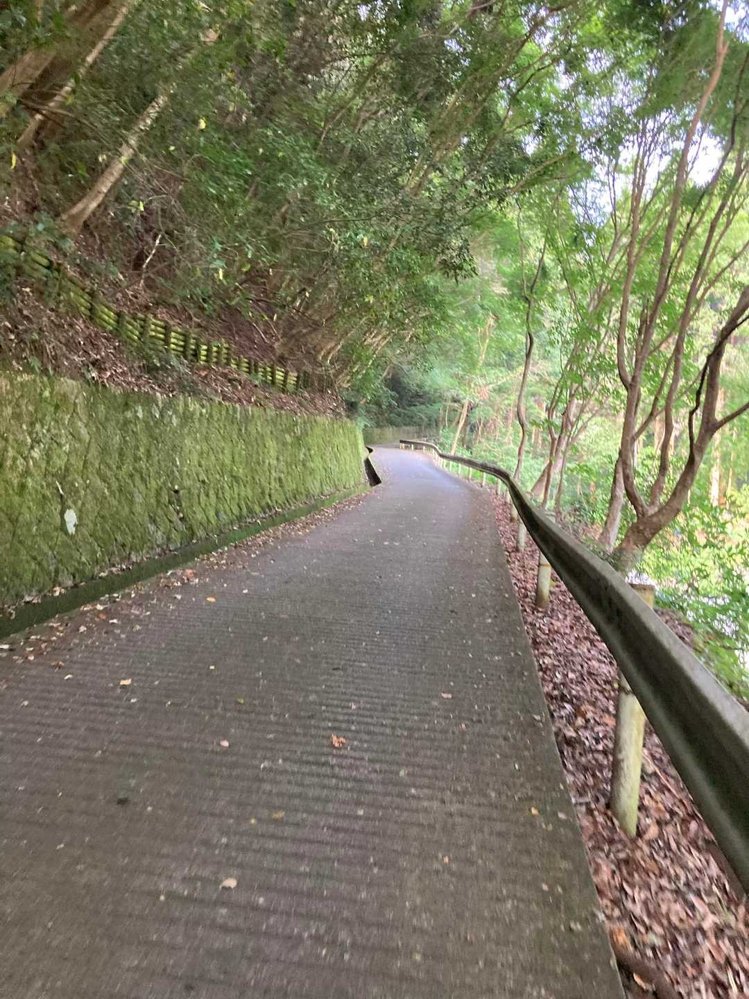 最初のコンクリロードが地味にキツい💦
