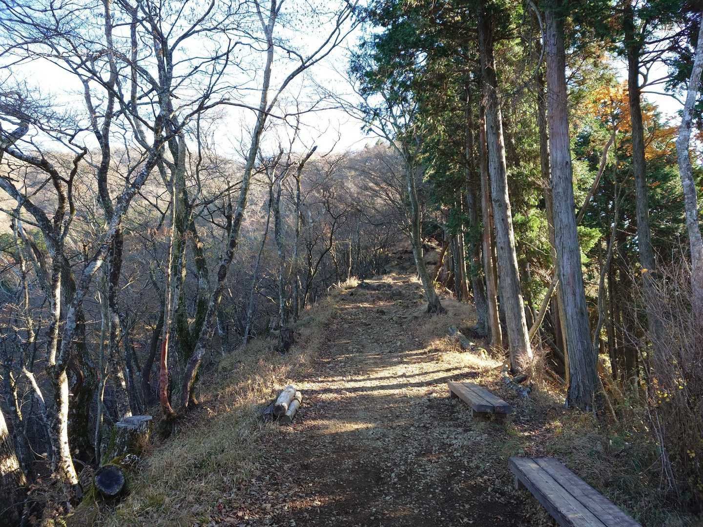 蓑毛バス停-大山-ヤビツ峠 周回コースの写真