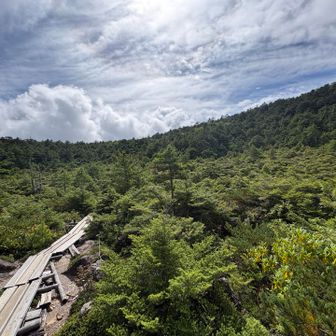 下山後はおまけに白駒池方面へ