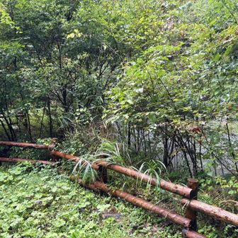 小さな池の周りを