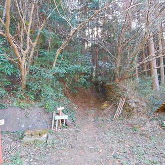 登山口に到着。
左膝が結構痛むが、だましだまし下りてきた。