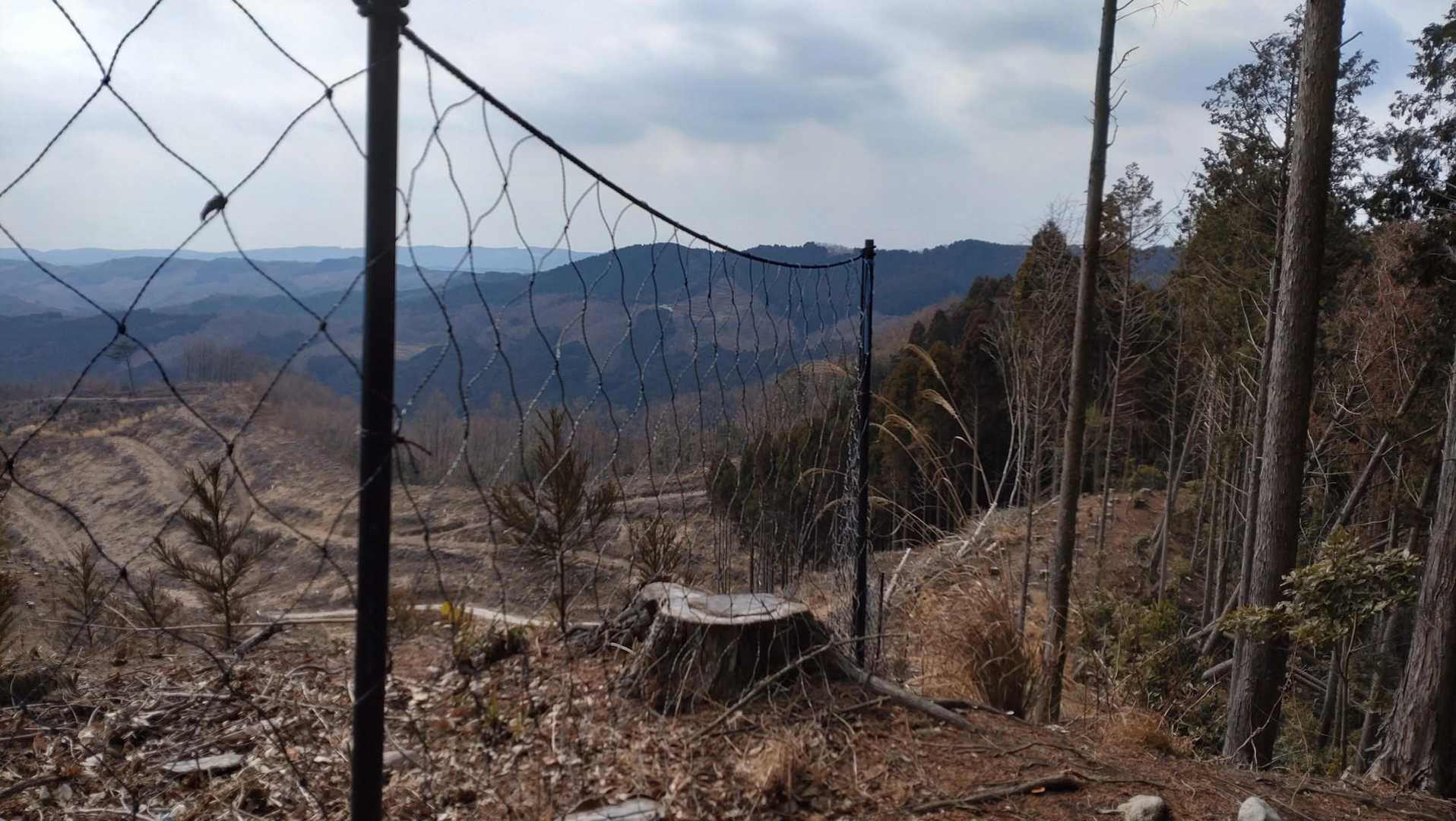 宇土口弘法大師堂-蛇谷山 登山口-蛇谷山 往復コースの写真