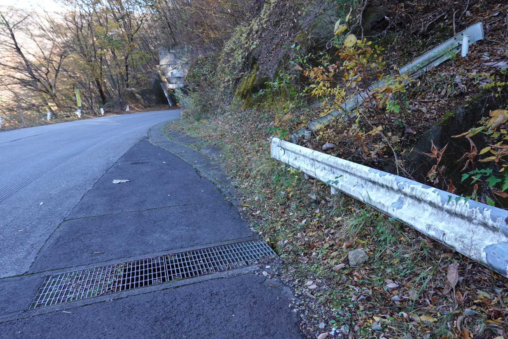 2～3台止められそう