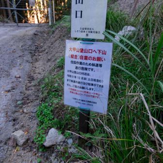 こういう案内がつけてあるのは本当に有り難いです。