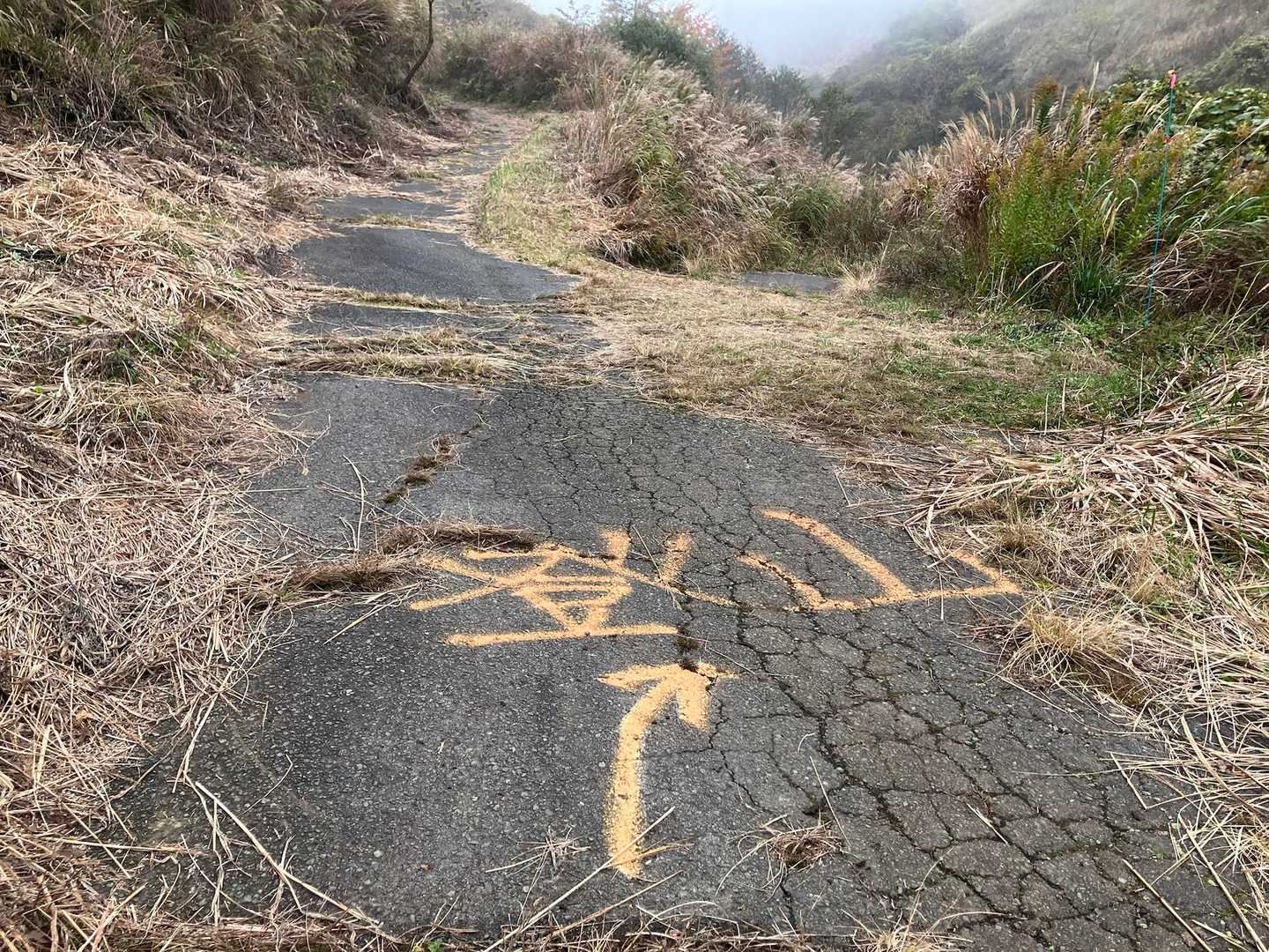こんな大きな文字を見落としたワタシ😅
車にて腹ごしらえ🚗