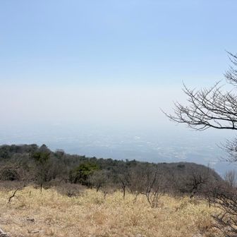 ガスっててあまり見えないです