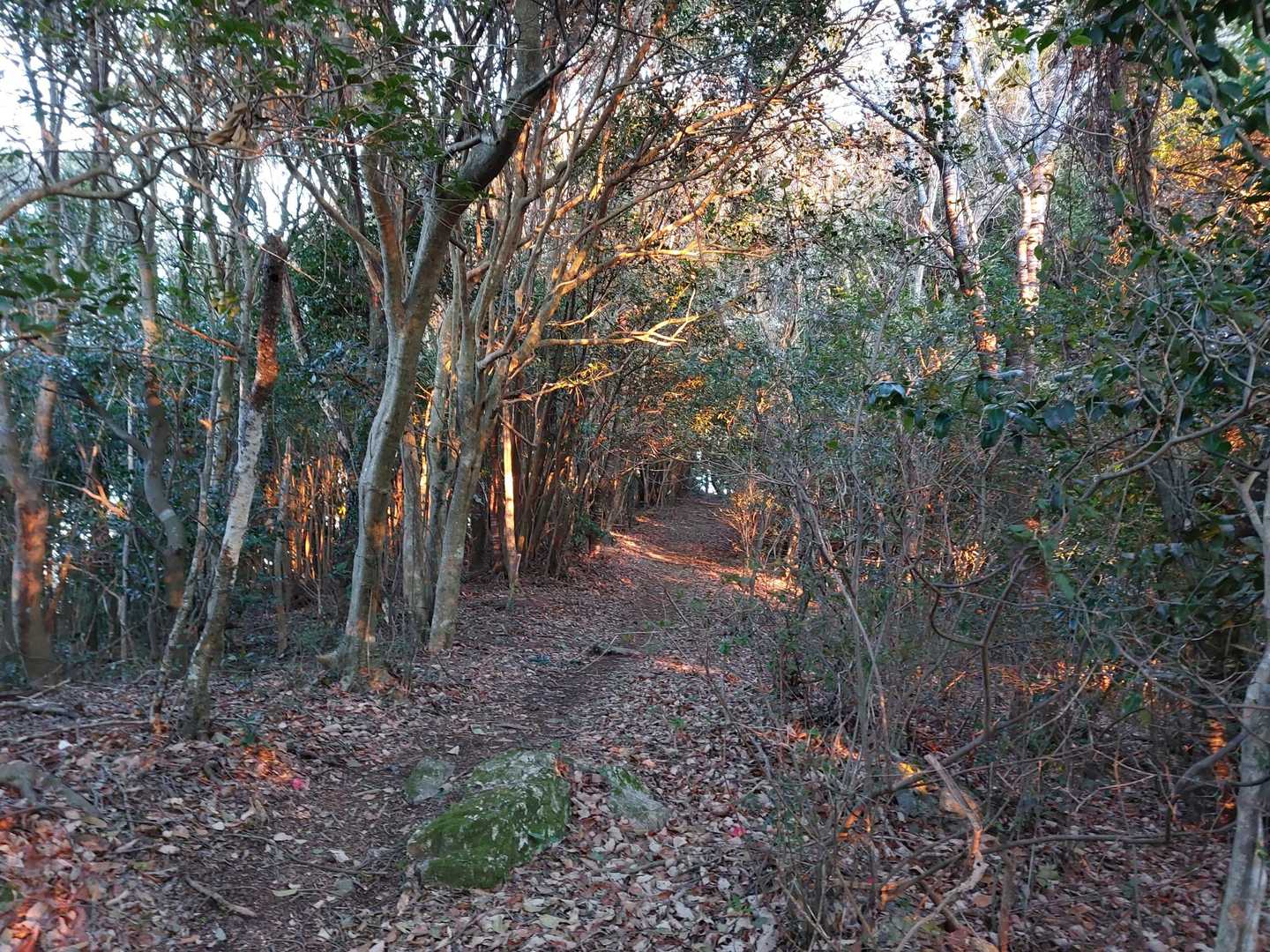 個人的には本坂峠から宇利峠間がめちゃ長く感じましたよ😅