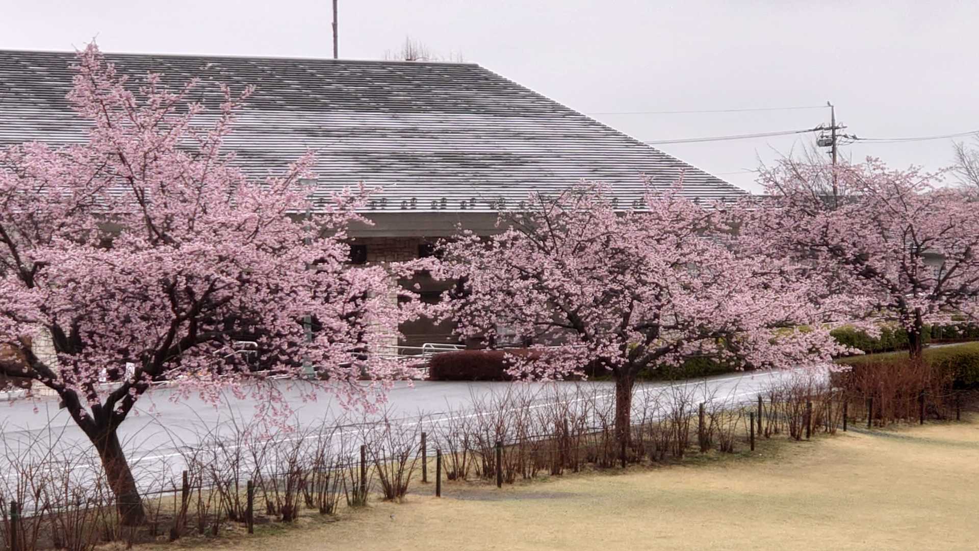 みかも山公園東口駐車場付近　