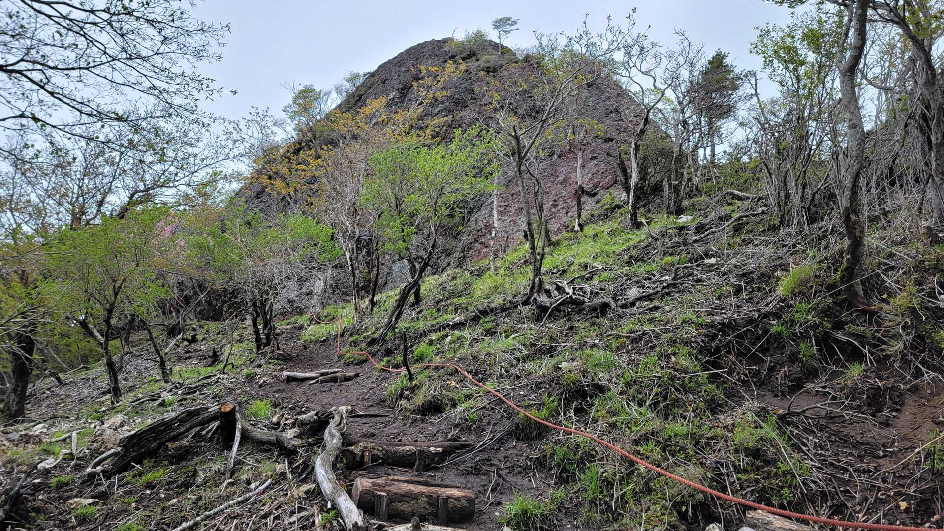 尾平トンネル登山口-尾平越-古祖母山-障子岳 往復コースの写真